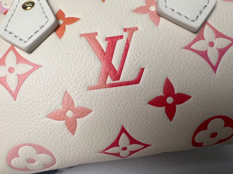 LV Speedy Bags